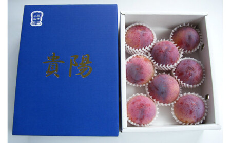 すもも 貴陽 約1.5kg 化粧箱入 6-8玉《7月前半から順次お届け》[JAふえふき 山梨県 中央市 21470470] フルーツ 果物 くだもの 1.5キロ 季節限定 期間限定 数量限定 山梨 山梨県産【2026年7月上旬～7月下旬発送予定】