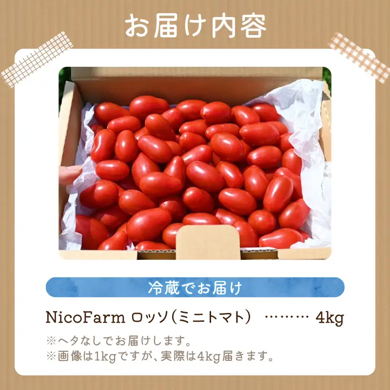 【先行予約】おやつに最適！Nicoロッソ 4kg ヘタなしミニトマト_Y124-0026