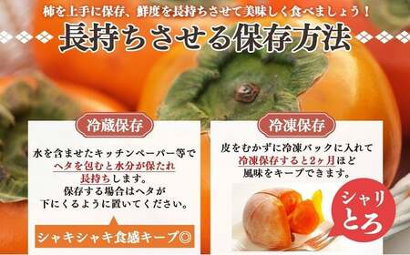 富有柿 約 5kg (Mサイズ以上混載）  |  大人気 人気 富有 柿 かき フルーツ 果物 奈良県 五條市 萩本農園 ギフト おすすめ 11月 発送 カキ 秋の味覚 旬 甘い 大容量 農家直送 産地直送 グルメ お取り寄せ 送料無料  食物繊維 豊富 美容 健康 | 奈良県 五條市