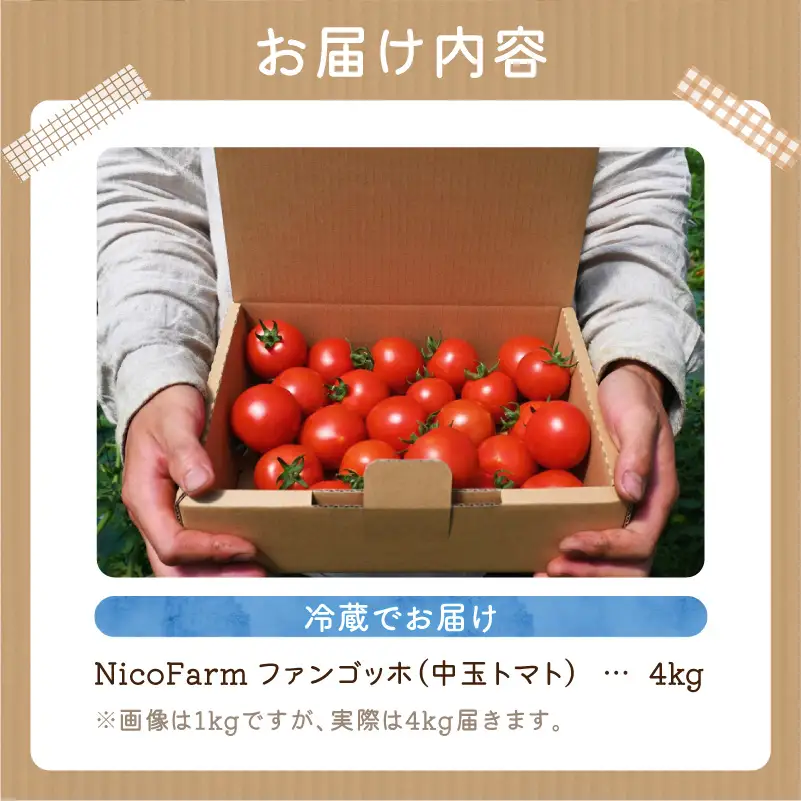 【先行予約】トマト好き必見！ファンゴッホ 4kg 肉厚中玉トマト_Y124-0027