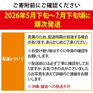 【0125938a】《先行予約・数量限定》鹿児島県産南国の恵み完熟マンゴー(秀品・350g以上×2個) 果物 フルーツ 果実 冷蔵 デザート 国産 【東串良物産館ルピノンの里】