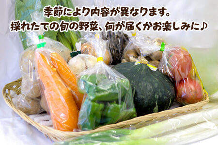 野菜詰合せ  【先行受付】《定期便3回 隔月 7月／9月／11月にお届け》6～9品程度 （計8～10kg程度）自然で採れた旬の野菜！！世界遺産「白神山地」の旬野菜
