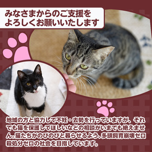 ≪お礼品なし≫保護猫 活動支援(1口：3,000円) 猫 ねこ ネコ 地域猫 野良猫 のらねこ さくら猫 保護 支援 保護猫活動 里親 動物保護 保護活動支援 ペット保護 支援活動 返礼品なし ボランティア活動 医療費 エサ代 TNR活動 去勢 【じゃむ屋】assn15-008