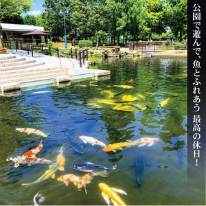 さいたま水族館 年間パスポート 引換券 大人 観光 魚 お出かけ 水族館 埼玉県 羽生市