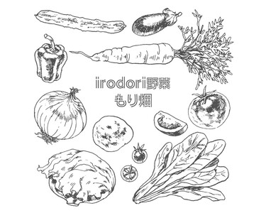 B2-7805　【3回定期便】野菜セット（7品目前後/1回）