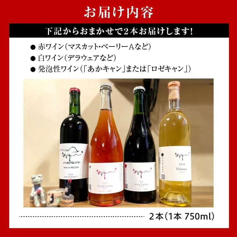 【数量限定】お楽しみ ワイン 2本 セット ワイン 08-43-001