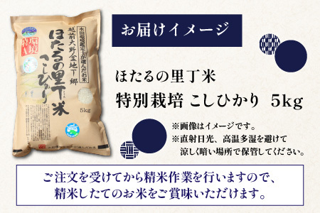 【先行予約】【令和8年産 新米】ベストファーマー ほたるの里 特別栽培こしひかり 5kg 化学肥料不使用 農薬70％以上カット[A-002004]