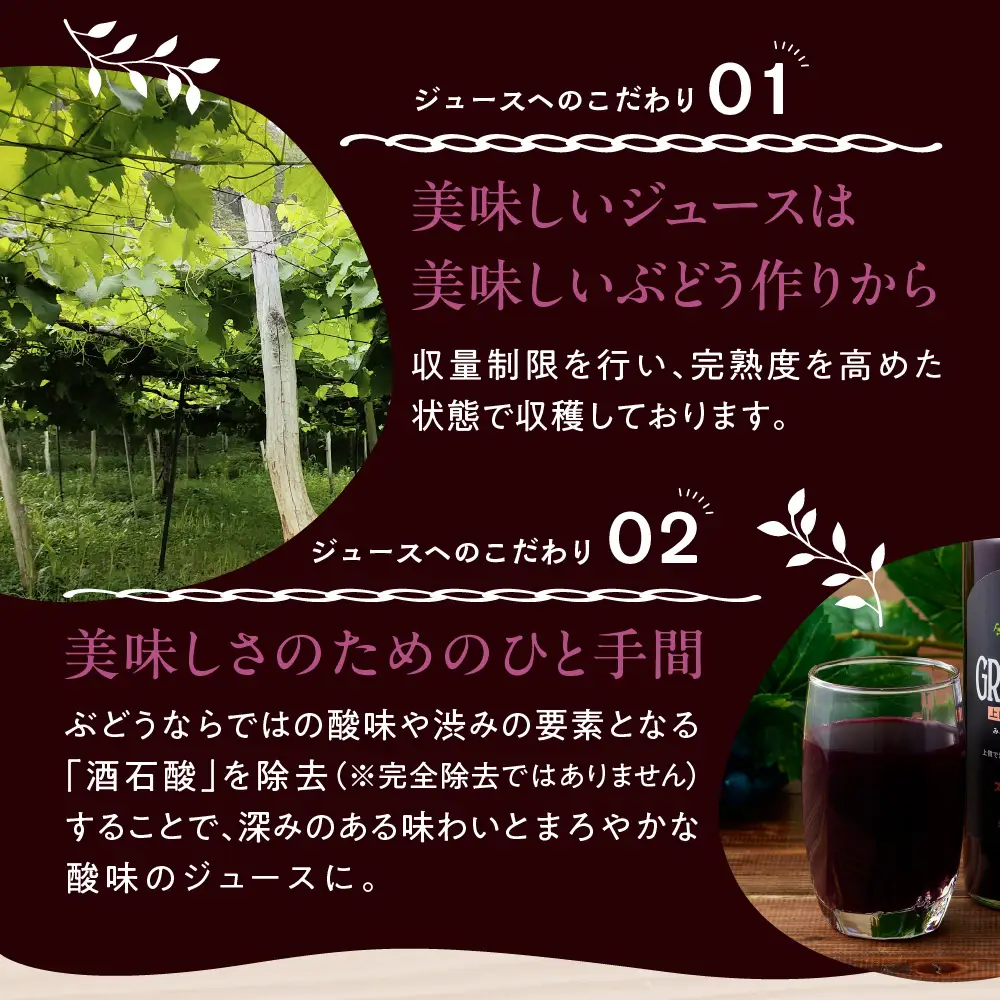 美味しい上山・山ぶどうジュース（原液）５５０ｍｌ×６本　0140-2611