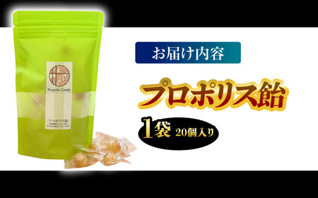 プロポリス飴 1袋 20個入り 瑞浪市 / サンビートゥエンティーワン プロポリス 飴 蜂[AZDK002]