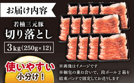 若楠三元豚 切り落とし 3kg /ナチュラルフーズ[UBH124] 切り落とし