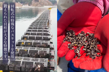 殻付き牡蠣 生食用 三倍体牡蠣 島乙女 約840g 12個入 [カネキ水産 宮城県 気仙沼市 20565985]
