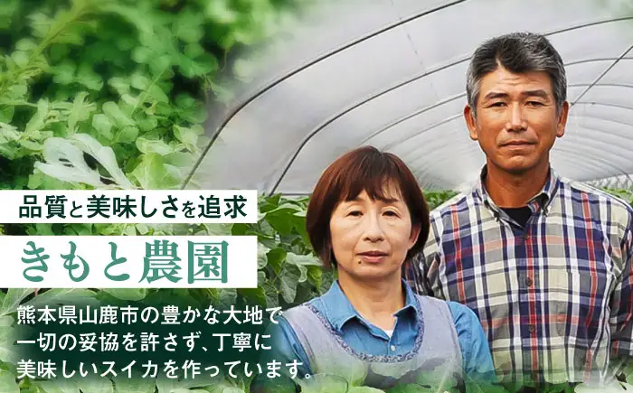 【先行予約】 山鹿の恵み! 黄肉大玉スイカ 匠の育てたサンダーボルト　(約8kg前後×1玉)【きもと農園】 熊本県産 [ZFQ006]