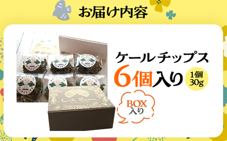 ケールチップス CafeSeasons 手作り 国産ケール使用 カシューナッツとスパイス仕立て / ヘルシー おやつ プラントベース おつまみ 小浜市 / Cafe Seasons[BFCC011]