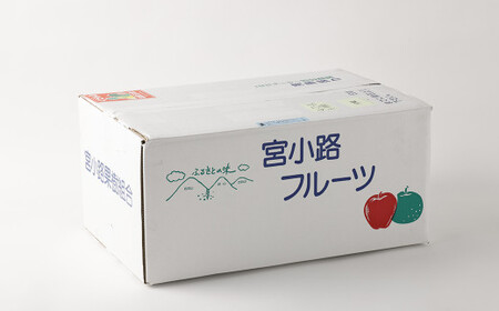【9月発送分】 梨 9.0kg  豊水 20世紀 新高 新興 果物
