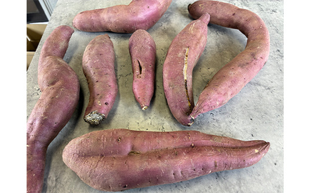 甘さ引き出す サイズ不揃い 熟成紅はるか 5kg さつまいも 訳アリ サツマイモ さつま芋 甘い おやつ 食品 F7X-0794