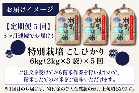 【先行予約】【令和8年産 新米】【5ヶ月定期便】ほたるの里 特別栽培こしひかり 6kg [J-002003] 精米 ベストファーマー