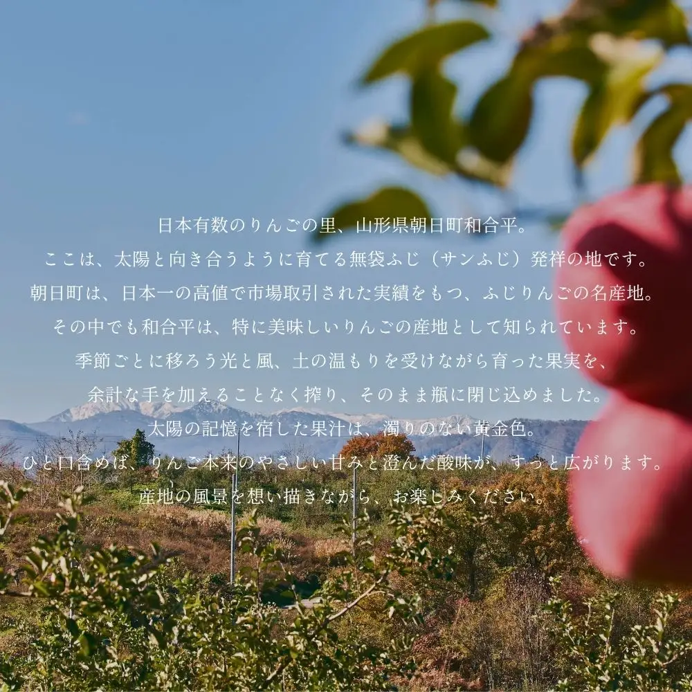 RINGO IE Apple Juice 500ml 2本 セット ( リンゴイエ りんご ジュース 山形県産 果汁 100% 無添加 ストレート 500ml ふじ ・ シナノゴールド 果汁 フルーツ 飲料 瓶ジュース アップル 数量限定 ) 飲み比べ りんごジュース リンゴジュース ギフト