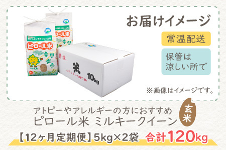 【先行予約】【令和8年産 新米】【12ヶ月定期便】ミネラル豊富！弱アルカリ性のピロール米 ミルキークイーン 玄米 10kg（5kg×2袋）× 12回　計120kg 化学肥料5割以下・減農薬