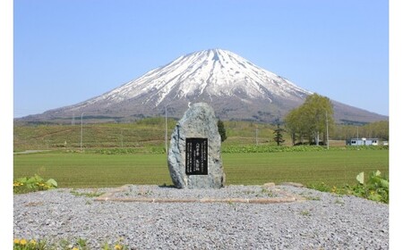 さくら貝の歌 作曲家・八洲秀章氏の生涯録 | 本 書籍 偉人 作曲家 音楽史 | 真狩村[BPAK001]