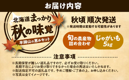 【2026年11月下旬以降発送】 秋の味覚セット（小）（じゃがいも5kg・旬の農産物詰め合わせ） | 野菜セット 野菜 詰合せ じゃがいも 季節の野菜 | 道の駅 真狩フラワーセンター[BPAM001]