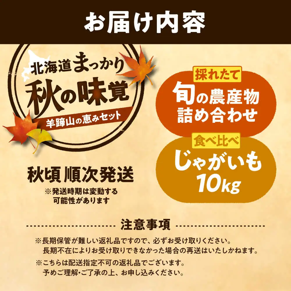 【2026年11月下旬以降発送】 秋の味覚セット（大）（じゃがいも10kg・旬の農産物詰め合わせ） | 野菜セット 野菜 じゃがいも 詰め合わせ 旬の野菜 セット 食べ比べ 北海道 | 道の駅 真狩フラワーセンター[BPAM004]