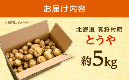 【2026年10月上旬以降順次発送】じゃがいも とうや 5kg | じゃがいも とうや 野菜 やさい 北海道 産地直送 | 道の駅 真狩フラワーセンター[BPAM017]
