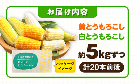 【2026年8月下旬以降順次発送】 白と黄色のとうもろこし 各5kg |  とうもろこし とうきび トウモロコシ コーン 野菜 やさい 北海道 産地直送 |  道の駅 真狩フラワーセンター[BPAM019]