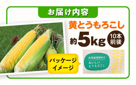 【先行予約】とうもろこし 黄 5kg  [BPAM020] とうもろこし