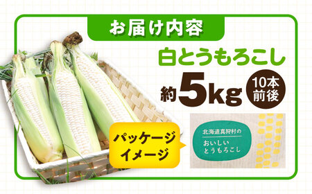 【先行予約】とうもろこし 白 5kg [BPAM021] とうもろこし
