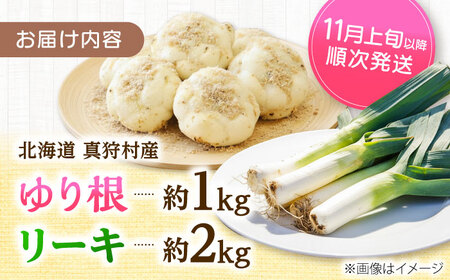 【2026年11月上旬以降順次発送】 ゆり根とリーキ  計3kg  |  ゆり根 リーキ 野菜 やさい 北海道 産地直送 |  道の駅 真狩フラワーセンター[BPAM022]