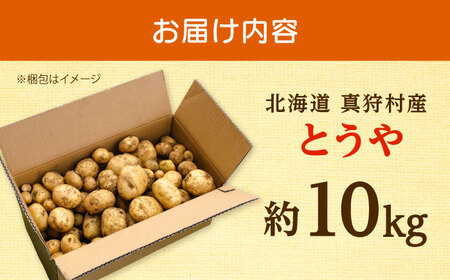 【2026年10月上旬以降順次発送】 じゃがいも とうや 10kg  |  じゃがいも とうや 野菜 やさい 北海道 産地直送 |  道の駅 真狩フラワーセンター[BPAM023]