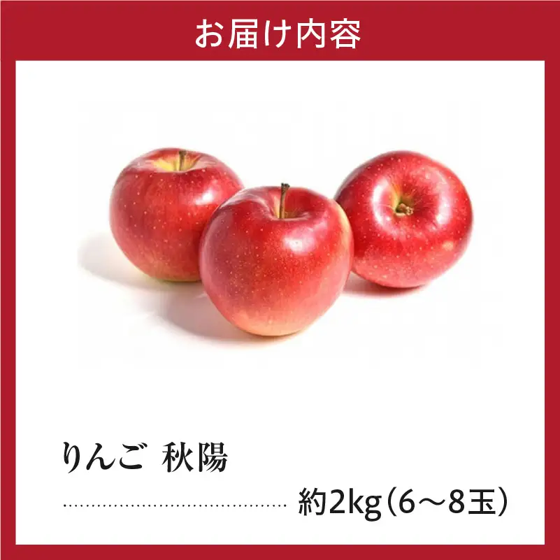 【先行予約】 令和8年産 りんご 秋陽 約2kg 山形 りんご
