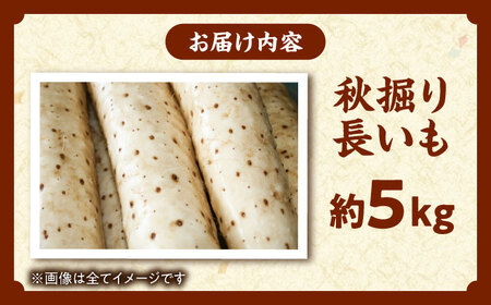 【2026年11月下旬以降順次発送】秋掘り 長いも 5kg  |  長いも 秋野菜 野菜 やさい 北海道 産地直送 |  道の駅 真狩フラワーセンター[BPAM026]