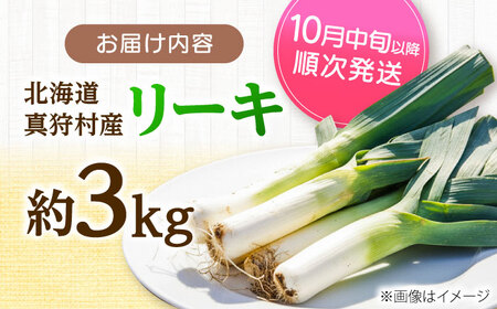 【2026年10月中旬以降順次発送】 リーキ 3kg | 野菜 ネギ ねぎ ポロネギ 西洋ねぎ リーキ | 道の駅 真狩フラワーセンター[BPAM045]