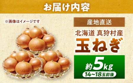 【2026年10月上旬以降順次発送】 玉ねぎ 5kg | 野菜 玉ネギ たまねぎ やさい 北海道 産地直送 | 道の駅 真狩フラワーセンター[BPAM079]
