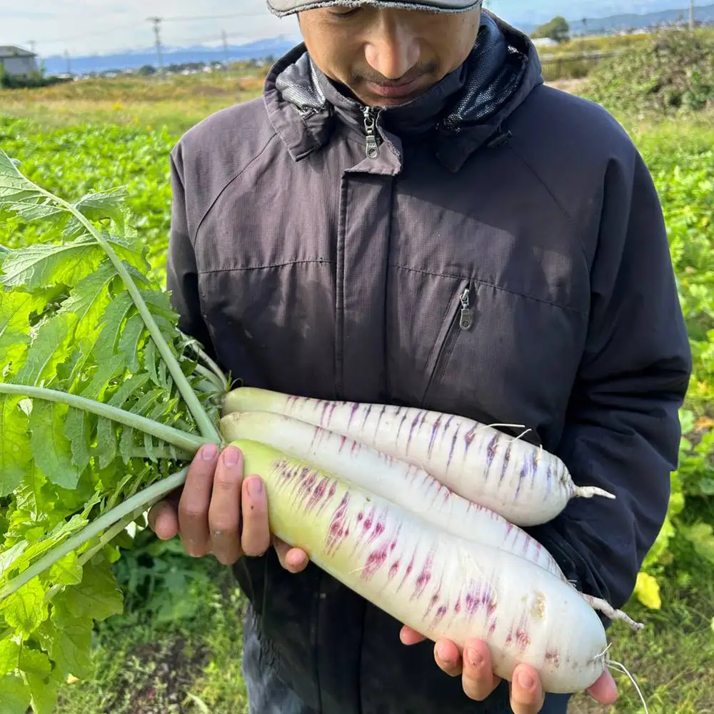 先行予約！2026年8月上旬より順次発送【自然農法】季節のお野菜セット　【07208-0805】
