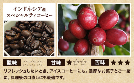 珈琲 豆 アソートセット 600g 瀬戸内ブレンド & インドネシア & タンザニア 珈琲