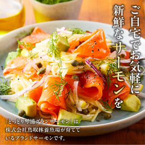 【数量限定】スモークサーモン とっとり 琴浦 グランサーモン 200g