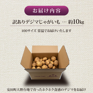 【訳ありじゃがいも】 【先行予約】 春デジマ じゃがいも 10kg 大野台地 YK-0013