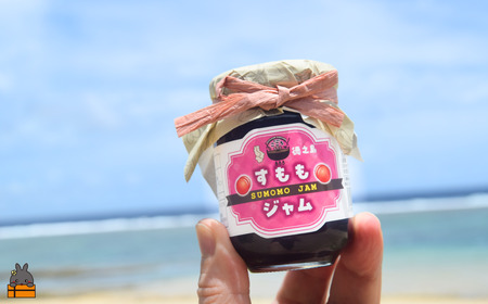 徳之島産すもも使用！低糖度の徳之島すももジャム（100g×2） （ すもも 完熟 ジャム パン 果物 フルーツ 徳之島 奄美 鹿児島 キッチンこころ ）