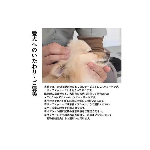 愛犬と癒しの旅　ナガラミリゾートSOSA ご宿泊利用券 12万円分 ／ 宿泊 宿泊券 リゾート ヴィラ ホテル 犬 ペット ドッグラン ドッグマッサージ 温泉 サウナ プール 旅行 リゾート旅