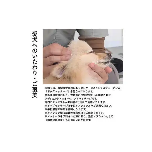 愛犬と癒しの旅　ナガラミリゾートSOSA ご宿泊利用券 15万円分 ／ 宿泊 宿泊券 リゾート ヴィラ ホテル 犬 ペット ドッグラン ドッグマッサージ 温泉 サウナ プール 旅行 リゾート旅