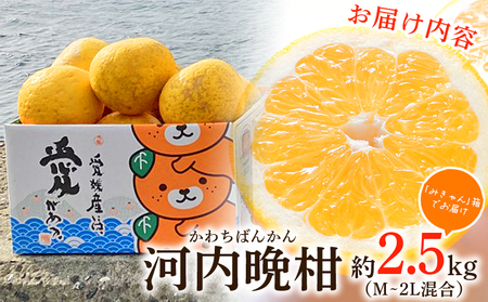 ＜愛媛県産 河内晩柑 約2.5kg（M～2L）＞ 柑橘 みかん フルーツ 和製グレープフルーツ ジューシー 初夏 旬 サイズ混合 西宇和 国産 さっぱり 甘い 農園オレンジとムラサキ 西予市【常温】『2026年4月～7月迄に順次出荷』MOM0004