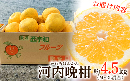 ＜愛媛県産 河内晩柑 約4.5kg（M～2L）＞ 柑橘 みかん フルーツ 和製グレープフルーツ ジューシー 初夏 旬 サイズ混合 西宇和 国産 さっぱり 甘い 農園オレンジとムラサキ 西予市【常温】『2026年4月～7月迄に順次出荷』MOM0005