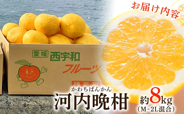 ＜愛媛県産 河内晩柑 約8kg（M～2L）＞ 柑橘 みかん フルーツ 和製グレープフルーツ ジューシー 初夏 旬 サイズ混合 西宇和 国産 さっぱり 甘い 農園オレンジとムラサキ 西予市【常温】『2026年4月～7月迄に順次出荷』MOM0006