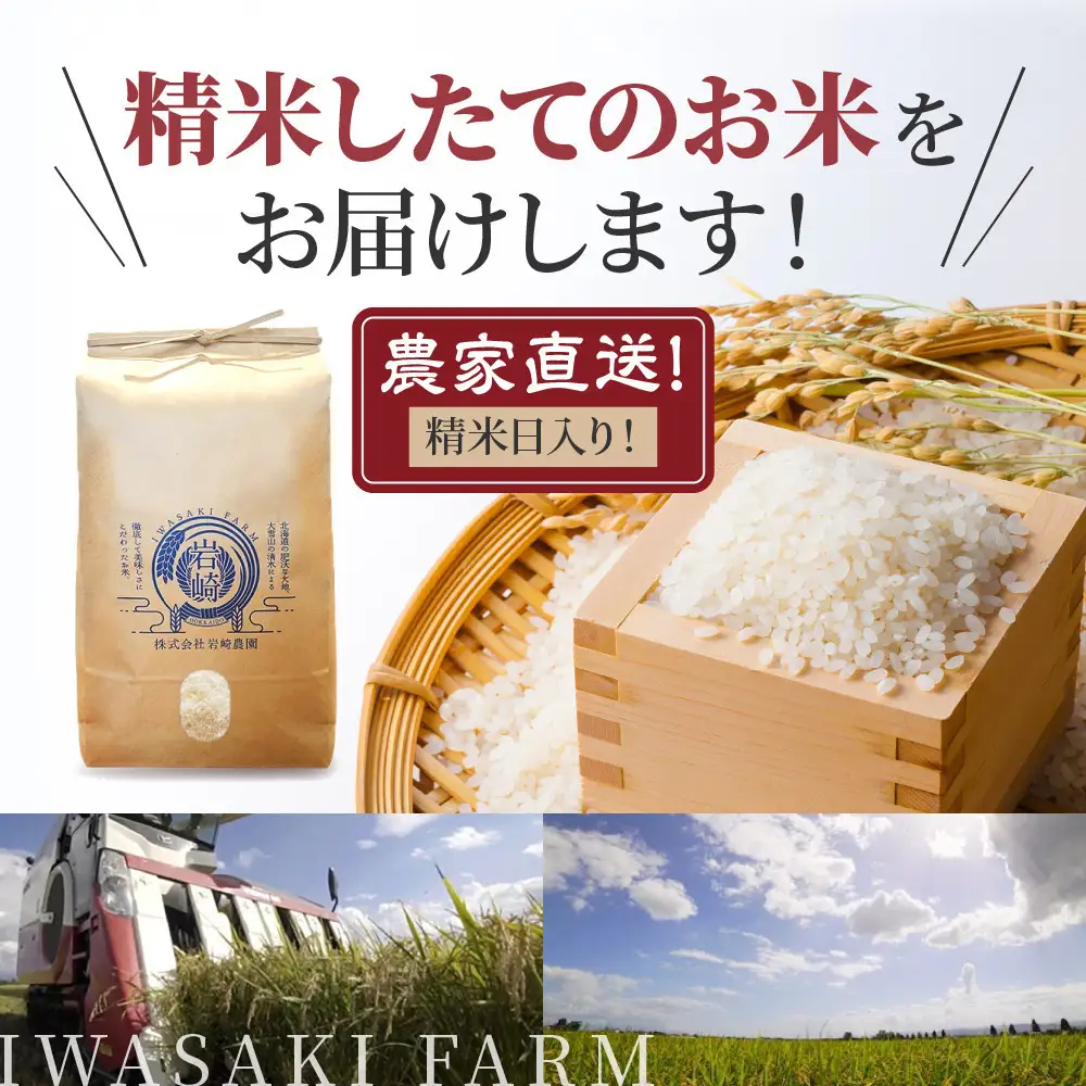 【３回隔月定期便】岩崎農園 白米 特A ゆめぴりか 5kg×2袋 10kg 北海道 旭川市 定期便 精米 ブランド米_05682