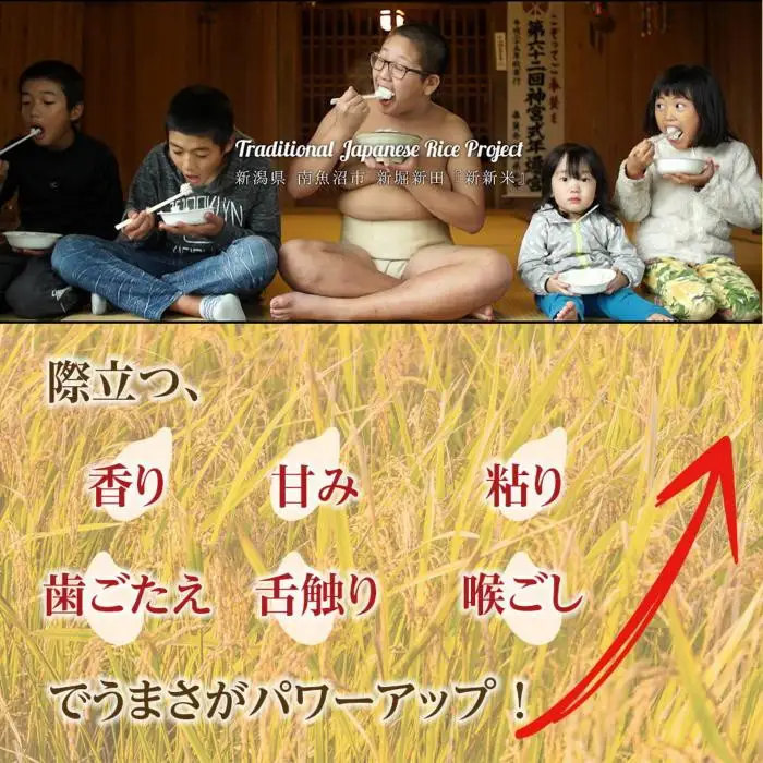 【令和7年産】【ふるなび限定】【新新米】南魚沼産コシヒカリ5kgふるさと八海山の農家直販　FN-Limited-SP