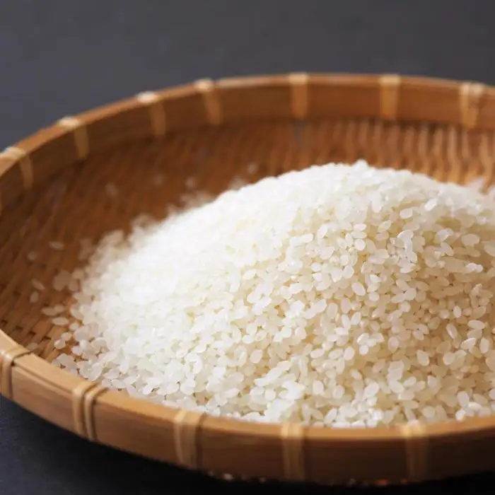 【令和7年産】南魚沼産こしひかり 精米 5kg 精米HACCP認定工場 特A獲得日本一産地 JAみなみ魚沼一番人気 高品質精米 雪国の恵み もっちり甘い 南魚沼産コシヒカリ