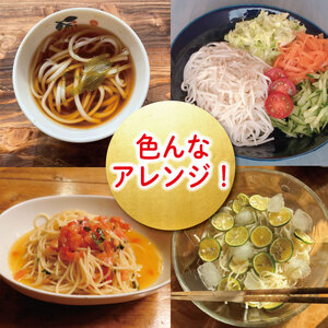 うどん 半田細うどん 8袋 うどん