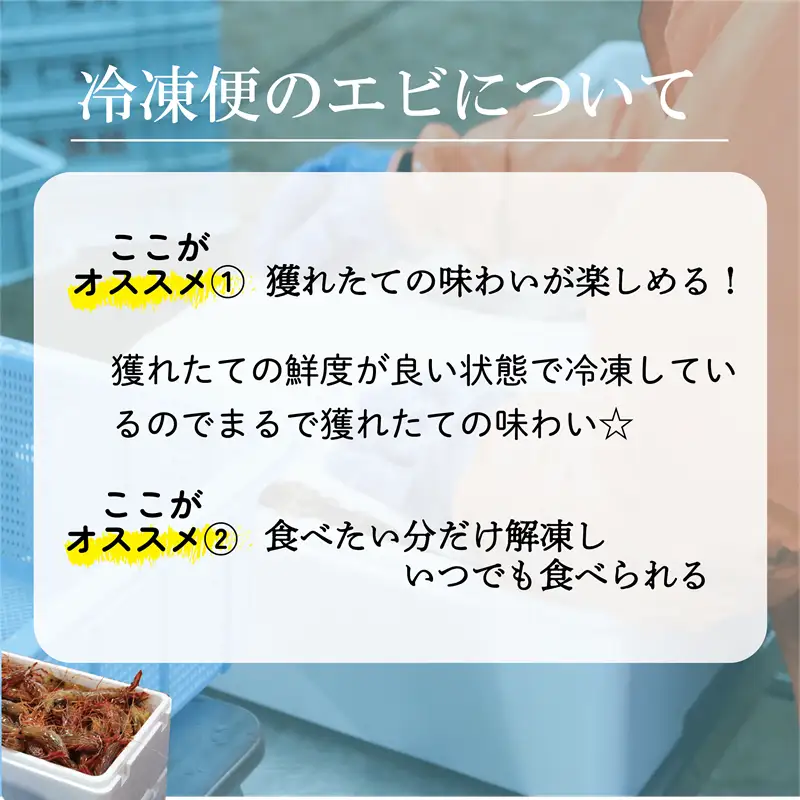 ＜ボタンエビ・シマエビ(冷凍) 1kg(各500g)＞北海道乙部町産 産地直送